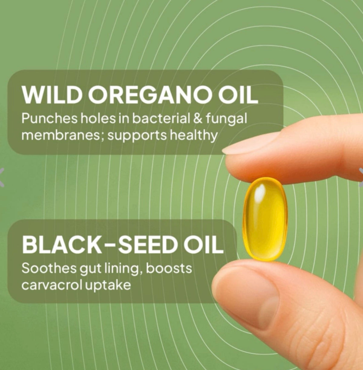 Aceite de Orégano con Black Seed Oil | Immune & Digestive Support
